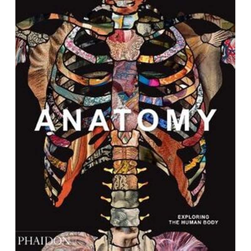 Anatomy, Exploring the Human Body