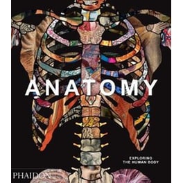 Anatomy, Exploring the Human Body