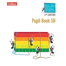 Busy Ant Maths Euro (2nd Edition) - Pupil Book 5B