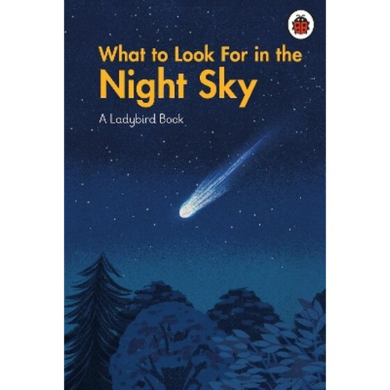 What to Look For in the Night Sky image 0