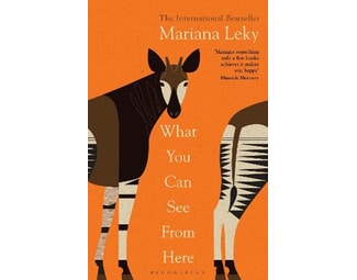 What You Can See From Here image 0