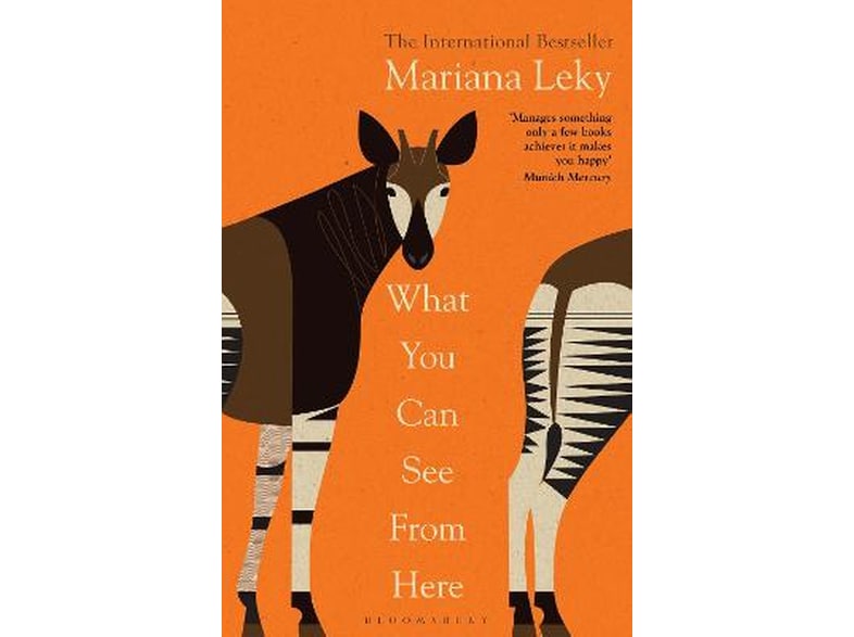 What You Can See From Here