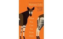 What You Can See From Here