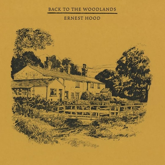 Back To The Woodlands image 1
