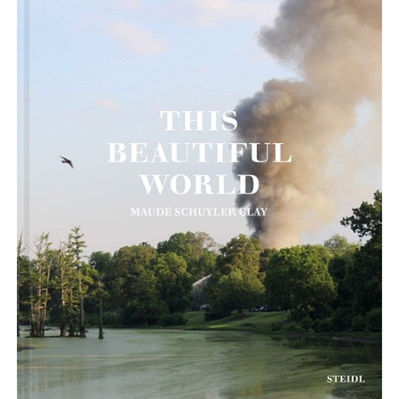 This Beautiful World