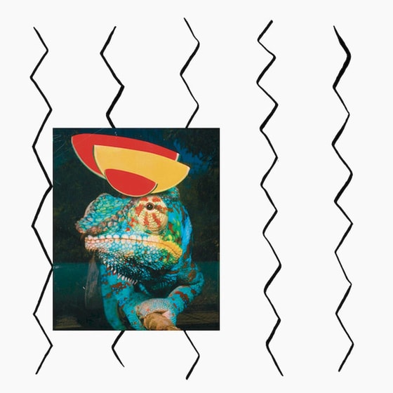 Erg Herbe (LP) image 0