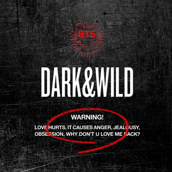 Dark & Wild Vol.1 image 0