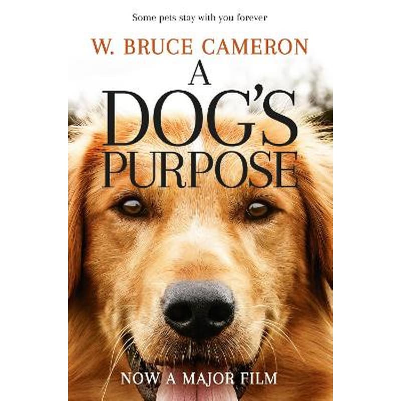 A Dogs Purpose