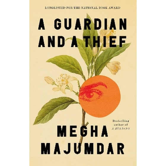 A Guardian and a Thief image 0