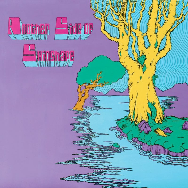 Another Side Of Skinshape (LP)