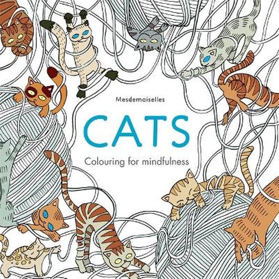 Cats image 0