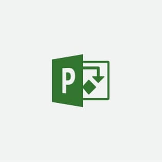 Microsoft Project Professional 2019 1 License(s) Multilingual image 0