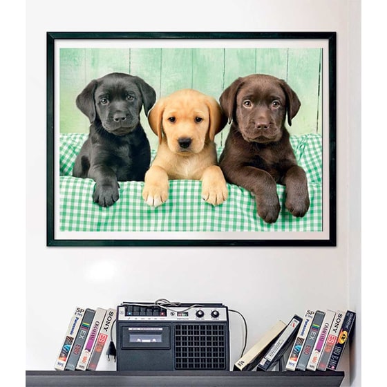 Παζλ Clementoni High Quality Collection Κουταβάκια Λαμπραντόρ - Compact Box (1000 Κομμάτια) image 3