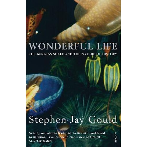 Wonderful Life image 0