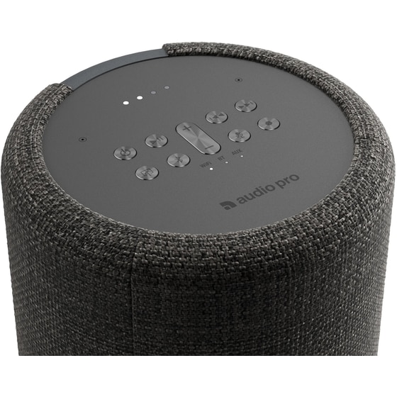 Ηχείο Audio Pro G10 52W με Wi-Fi/Bluetooth - Ανθρακί image 1