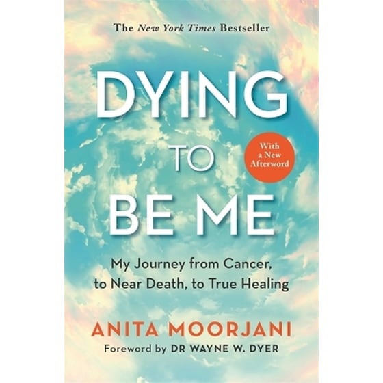 Dying to Be Me image 0