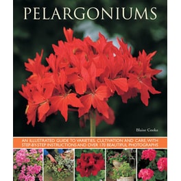 Pelargoniums