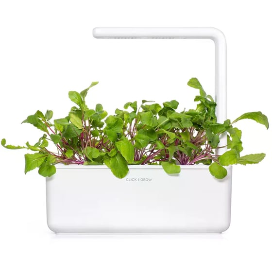 Κάψουλες Click and Grow 3 Τμχ - Ραπανάκι image 2
