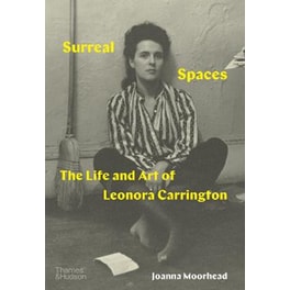 Surreal Spaces