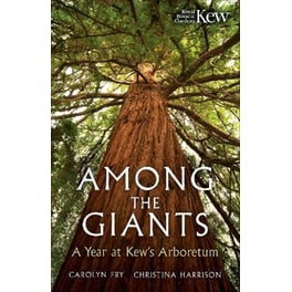 Among the Giants