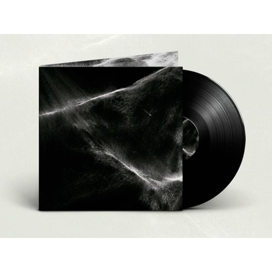 Final Light (Black Vinyl) image 0