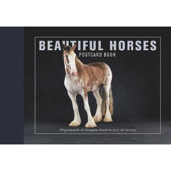 Beautiful Horses Postcard Book image 0
