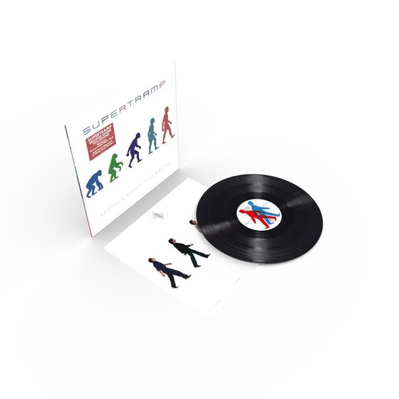 Brother Where You Bound (LP) image 4