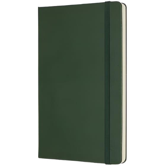 Σημειωματάριο Moleskine Ριγέ Large Πράσινο (1 Τεμάχιο) image 1