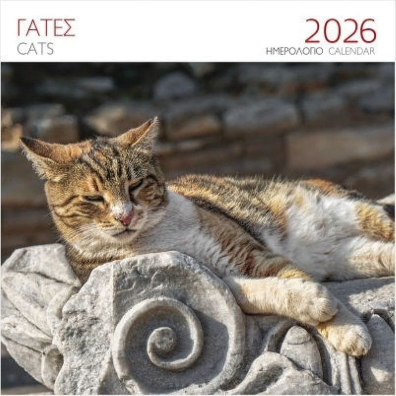 Ημερολόγιο Τοίχου 2026 Γάτες Καφέ
