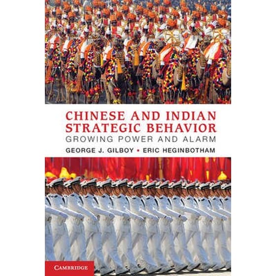 Chinese and Indian Strategic Behavior image 0
