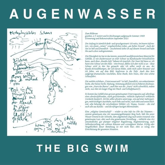 The Big Swim image 0