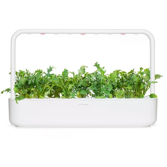 Κάψουλες Click and Grow 3 Τμχ - Ρόκα image 4