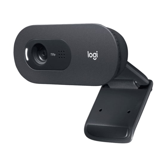 Web Camera Logitech C505e HD - Μαύρο image 1