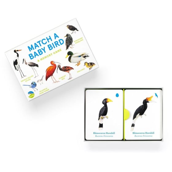 Match a Baby Bird image 6