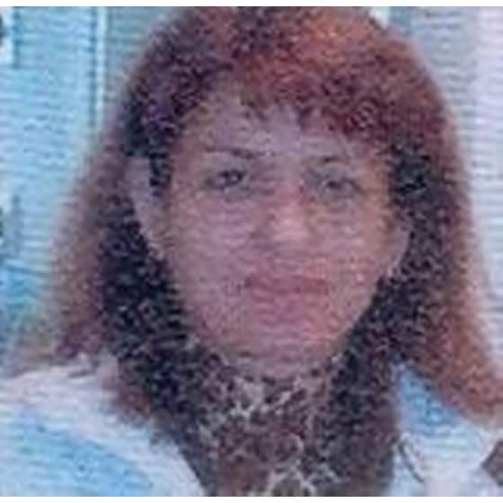 Ο κύβος του άγιου Βασίλη image 1