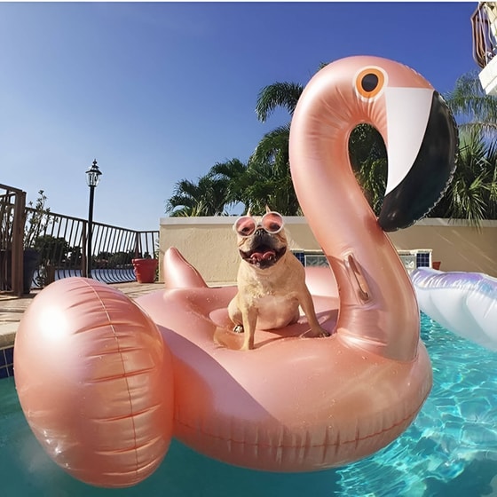 Φουσκωτό Παιχνίδι Θαλάσσης Φλαμίνγκο 150 cm - Ροζ image 2