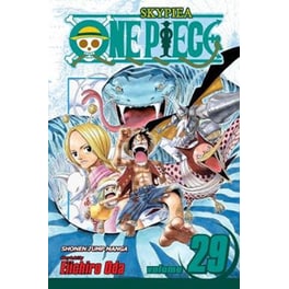 One Piece, Vol. 29