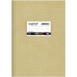 Τετράδιο Καρφίτσα SALKO Β5 Colorline Κίτρινο 50 Φύλλων (1 Τεμάχιο)