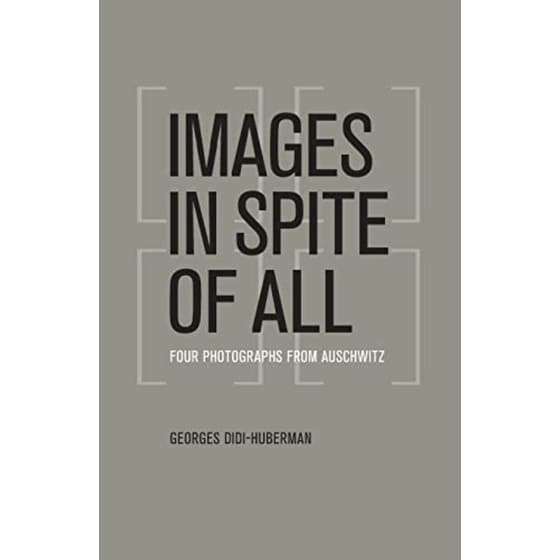 Images in Spite of All image 0
