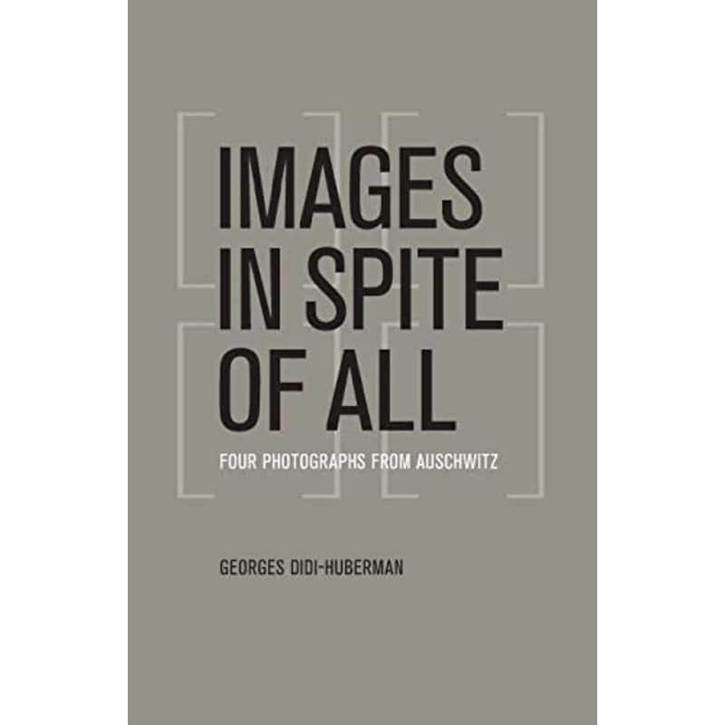 Images in Spite of All
