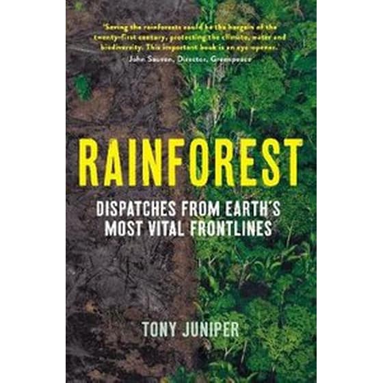 Rainforest image 0