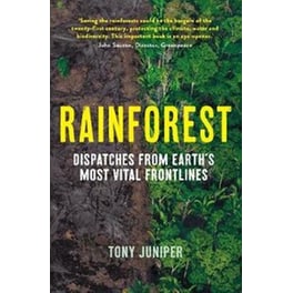 Rainforest