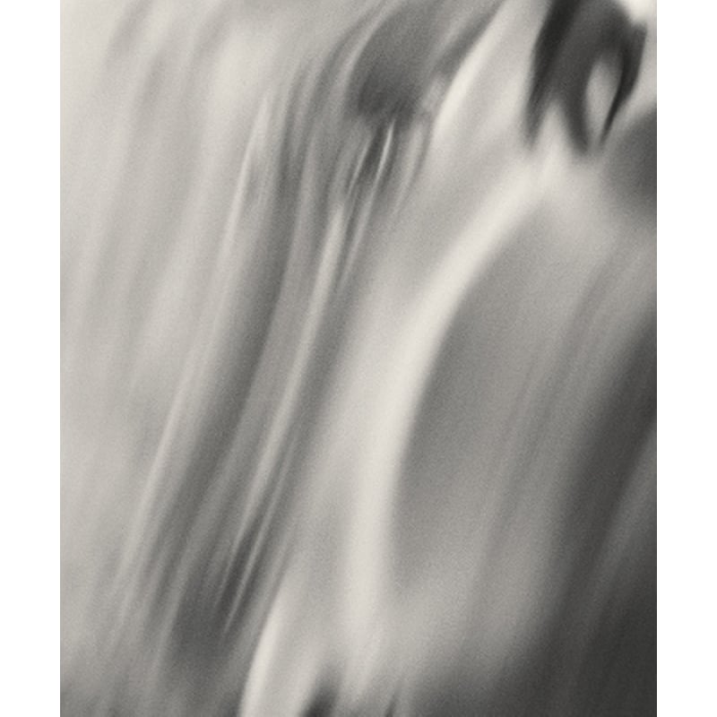 Henry O. Head: Twelve Acres