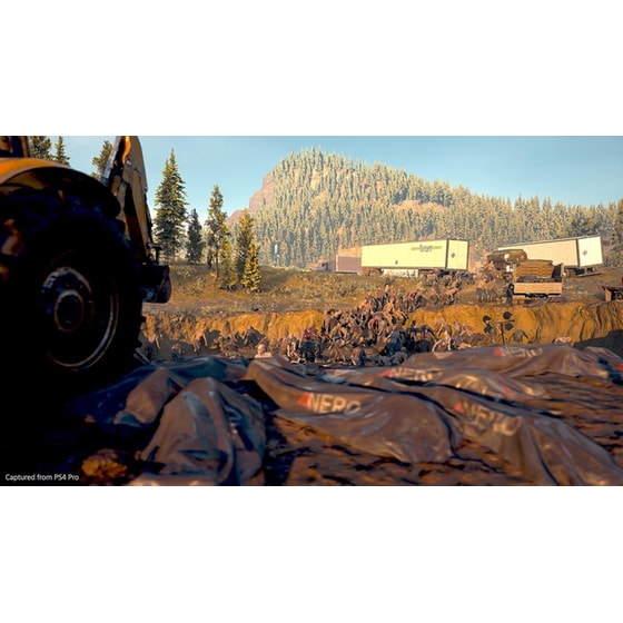 Days Gone - PS4 image 14