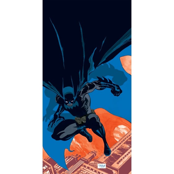 Batman: Haunted Knight image 0