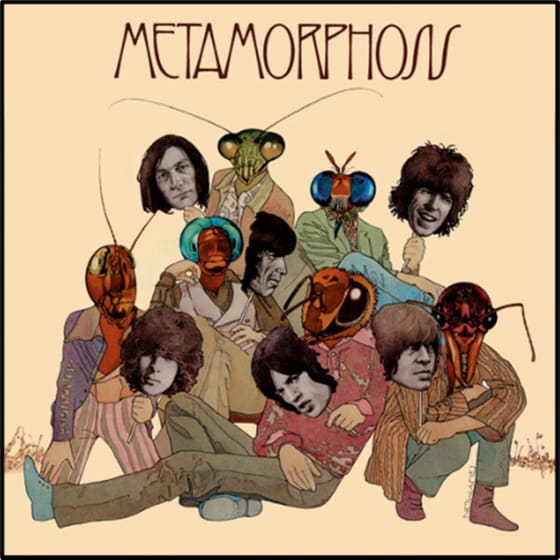 Metamorphosis image 1