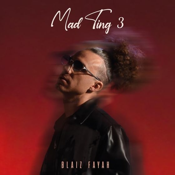 Mad Ting 3 image 0