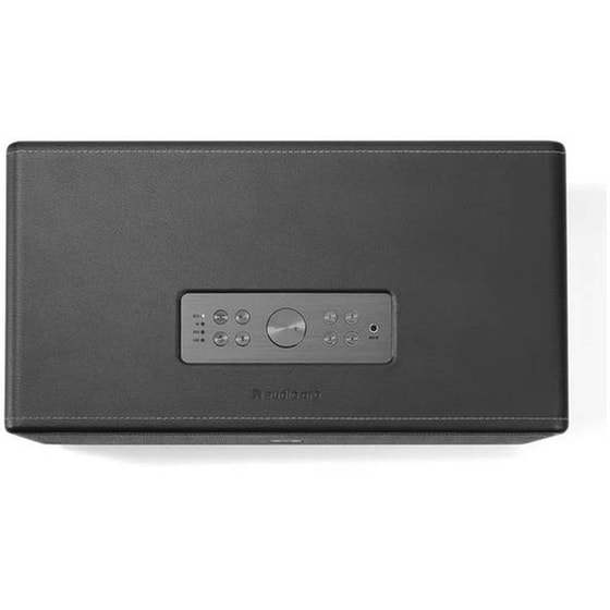 Φορητό Ηχείο Audio Pro PRO D-1 - Μαύρο image 2