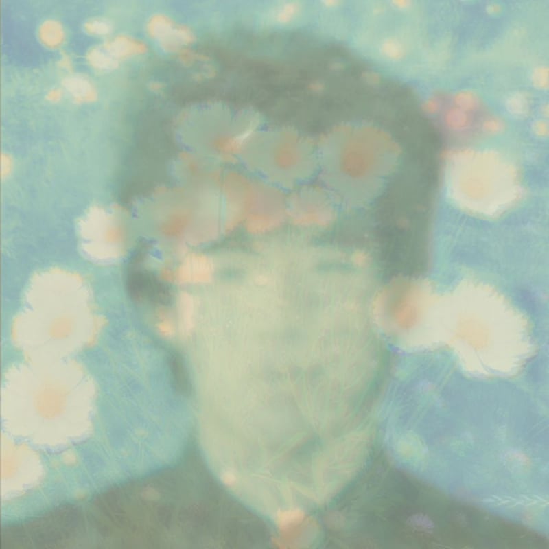 The Best Twilights Of Love Wonderland