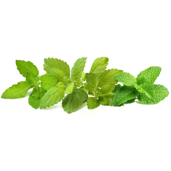 Κάψουλες Click and Grow 9 Τμχ - Mix Χαλαρωτικό Τσάι image 1